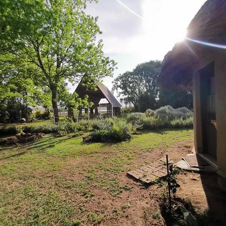 Drakensberg Bush Lodge And Backpackers Вінтертон Екстер'єр фото