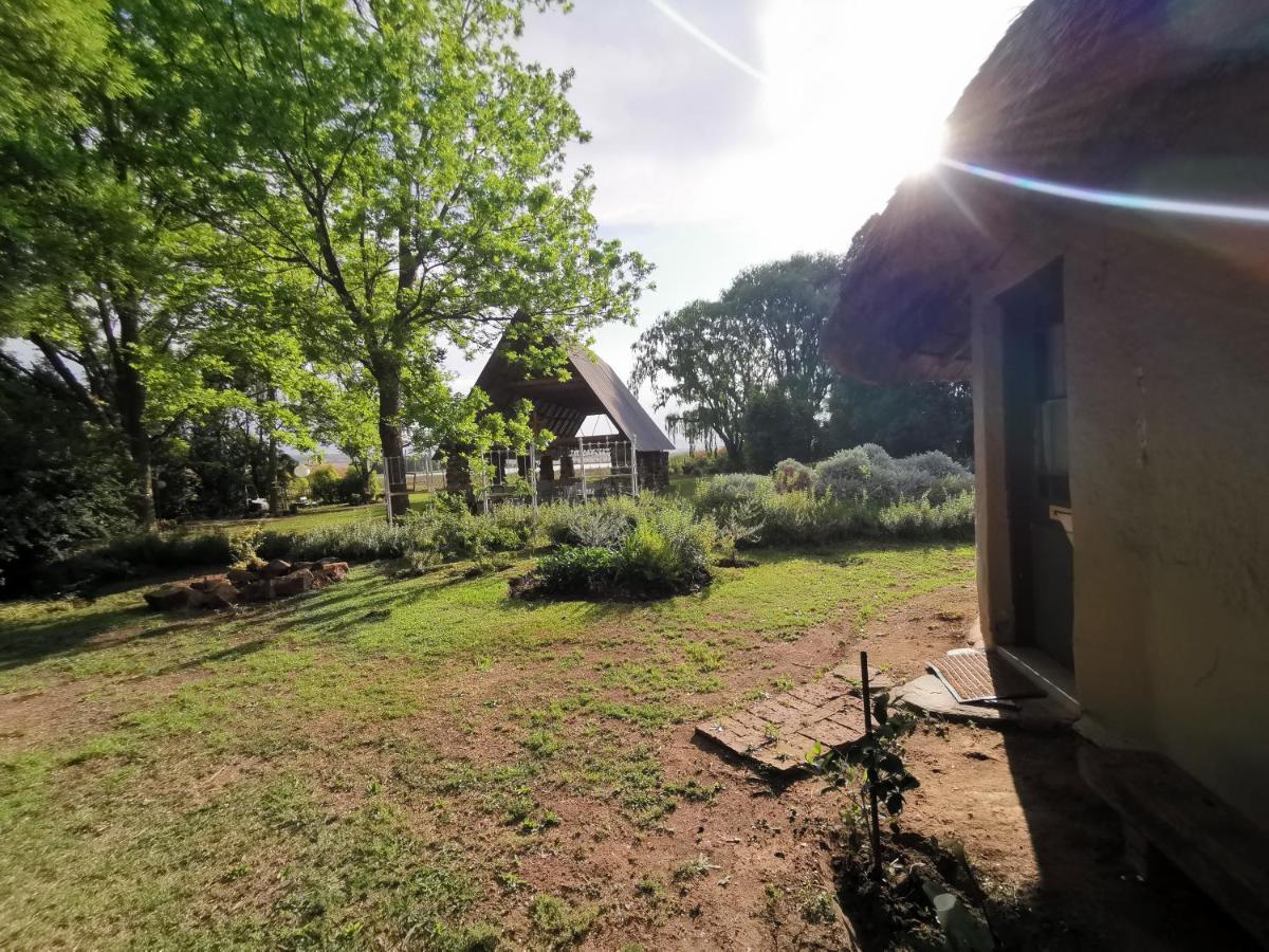 Drakensberg Bush Lodge And Backpackers Вінтертон Екстер'єр фото