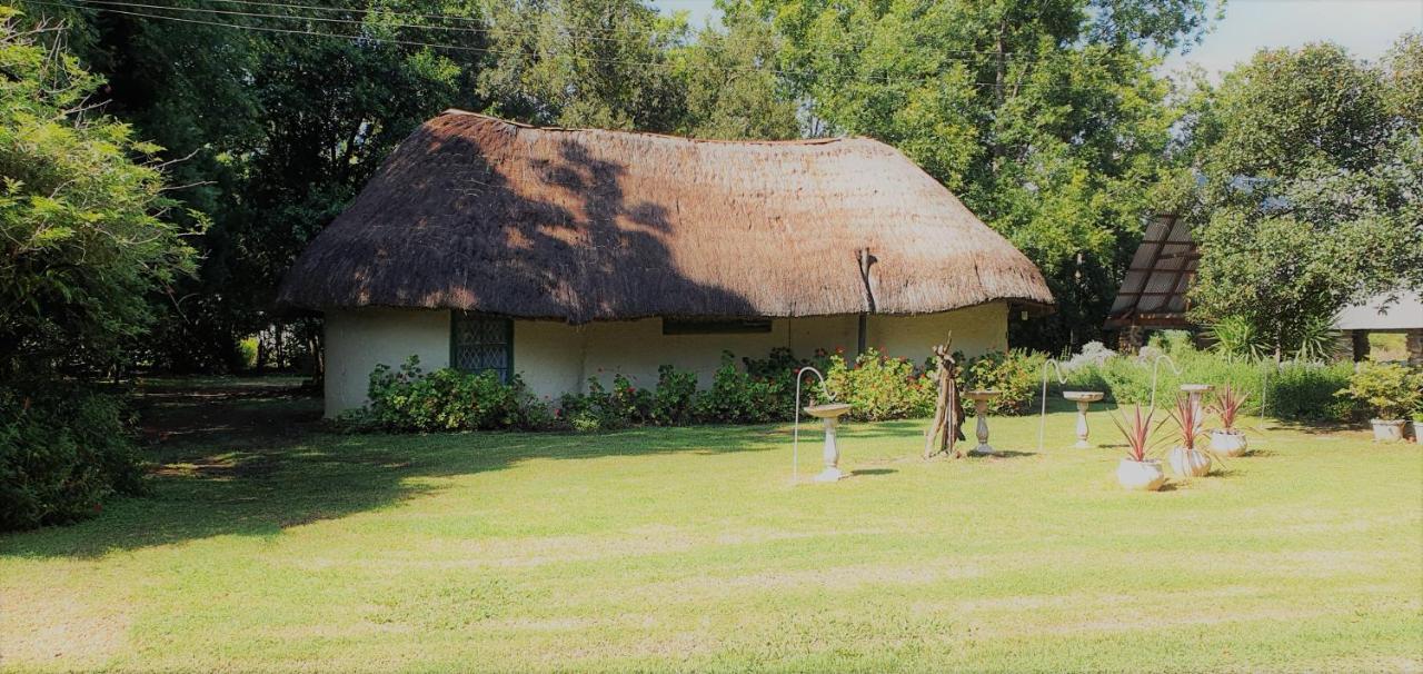Drakensberg Bush Lodge And Backpackers Вінтертон Екстер'єр фото