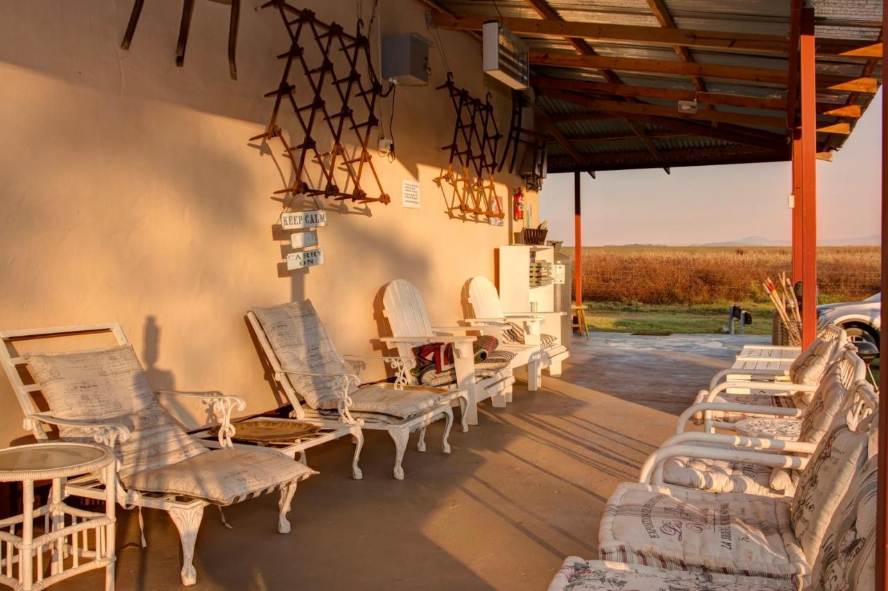 Drakensberg Bush Lodge And Backpackers Вінтертон Екстер'єр фото